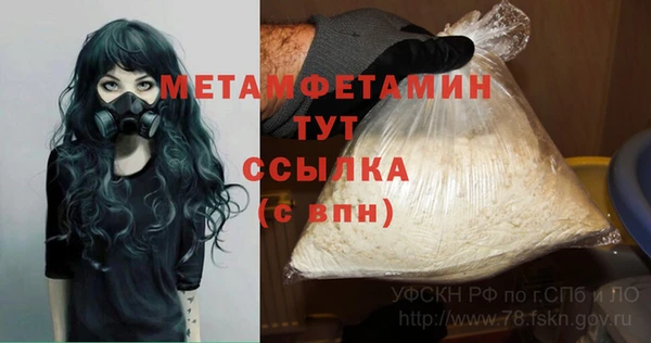 дживик Бронницы