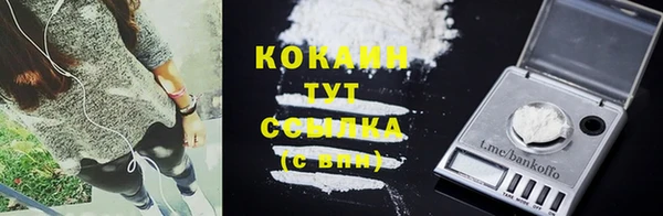 дживик Бронницы