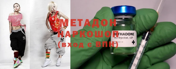 индика Верхний Тагил
