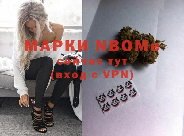 дживик Бронницы