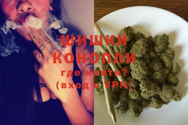 дживик Бронницы