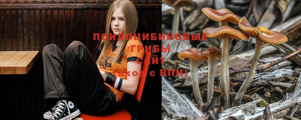 дживик Бронницы