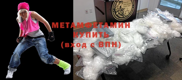 индика Верхний Тагил