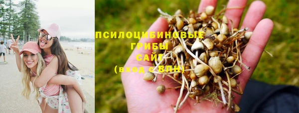 гидра Бородино